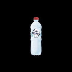 Water Cool Ridge 600ml